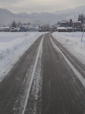 道路が凍っている