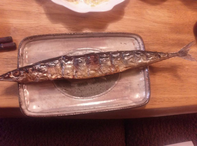 15380816_1818120381769578_9020619137152148505_n